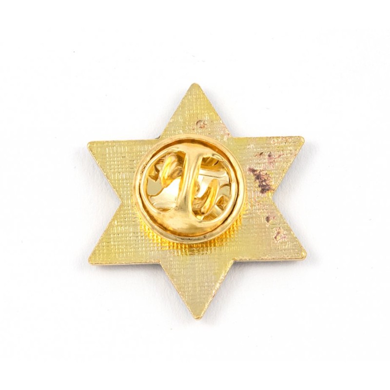סיכת דש כחול לבן מגן דוד | סיכות דש
